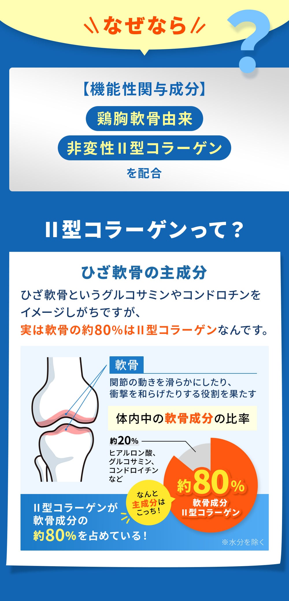 なぜなら、機能性関与成分　鶏胸軟骨由来　非変性Ⅱ型コラーゲンを配合