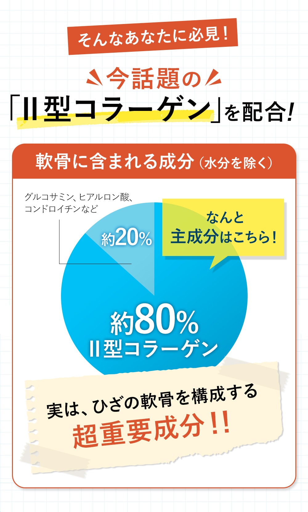 今話題の「Ⅱ型コラーゲン」を配合！軟骨に含まれる成分（水分を除く）の約80%がⅡ型コラーゲン　実は、ひざの軟骨を構成する超重要成分！！