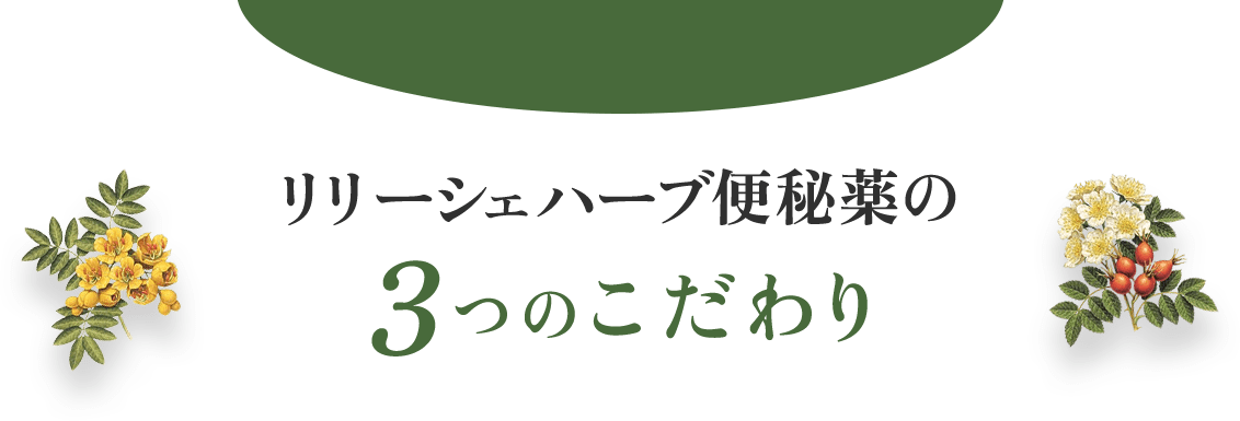 リリーシェハーブ便秘薬の3つのこだわり