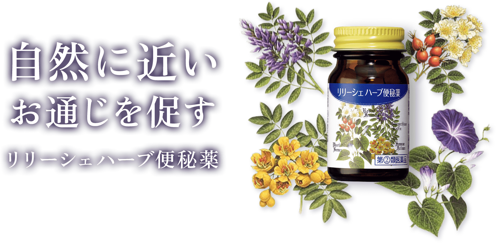 自然に近いお通じを促すリリーシェハーブ便秘薬