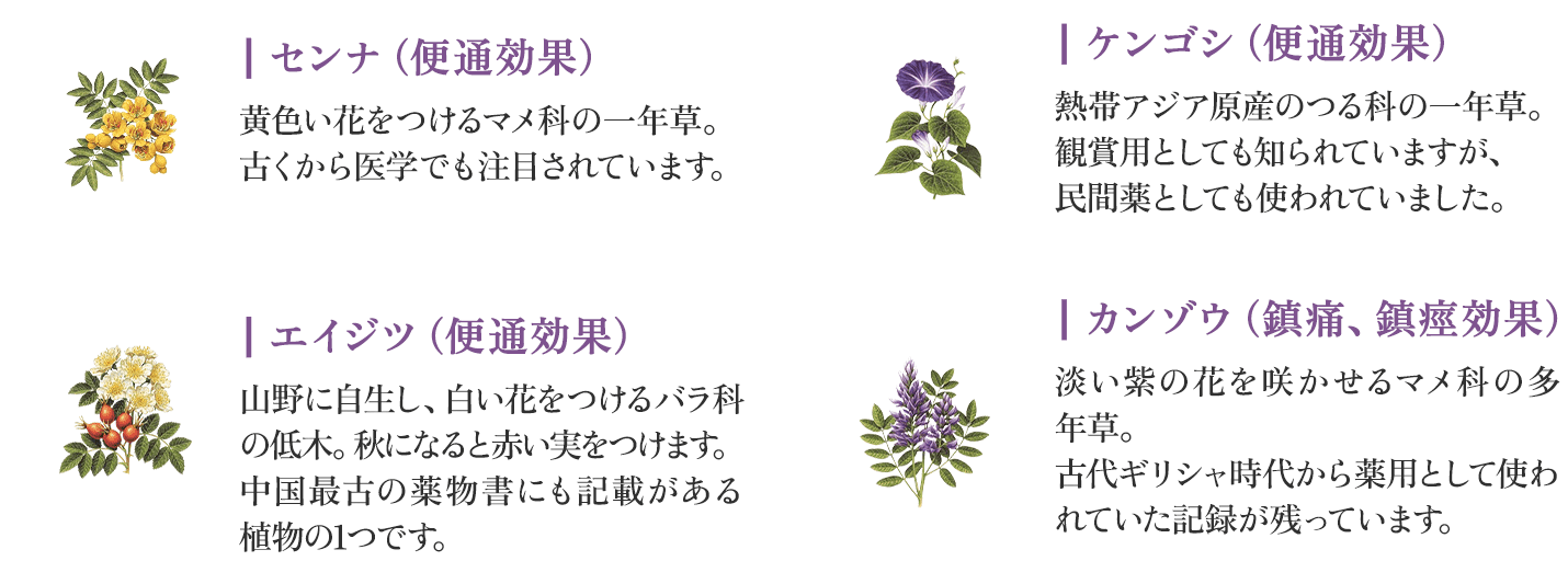 センナ・ケンゴシ・エイジツ・カンゾウ