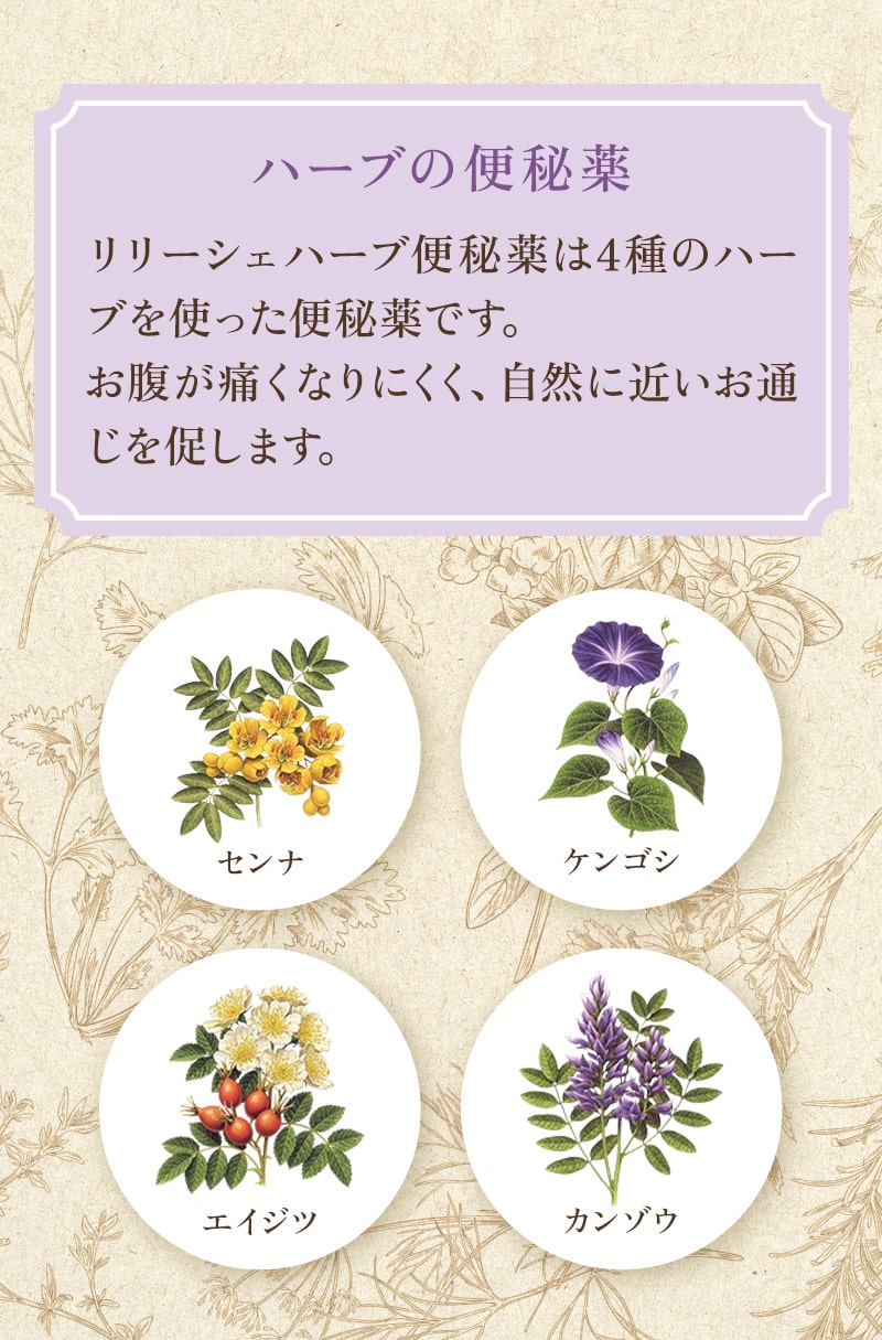 ハーブの便秘薬。リリーシェハーブ便秘薬は4種のハーブを使った便秘薬です。 お腹が痛くなりにくく、自然に近いお通じを促します。センナ・ケンゴシ・エイジツ・カンゾウ